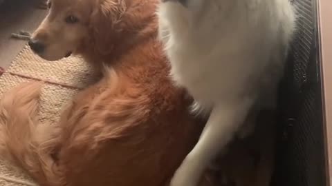 I think he likes both of us.