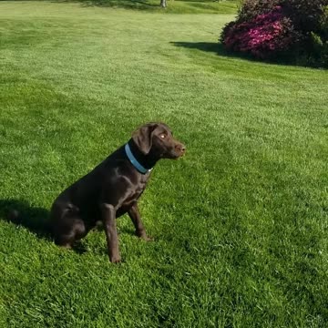 The Catch Slow Motion