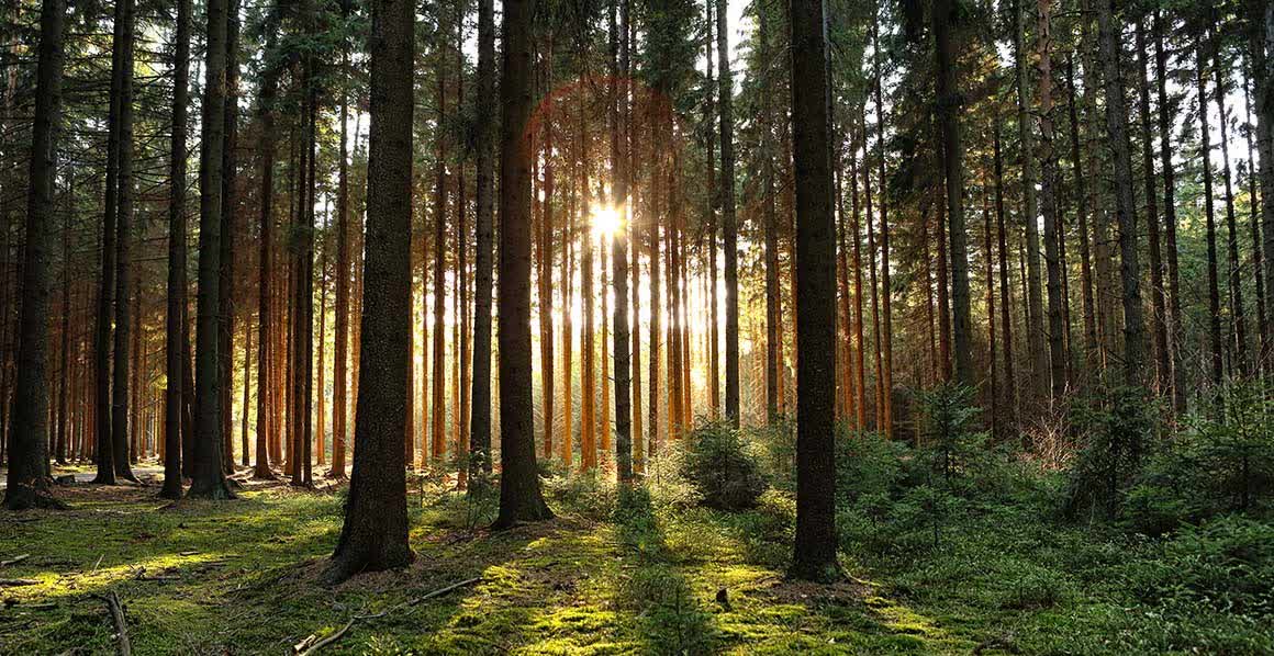 Grace Saves All: Ep:7 - Christian Universalism Point 5: God Will Be All In All