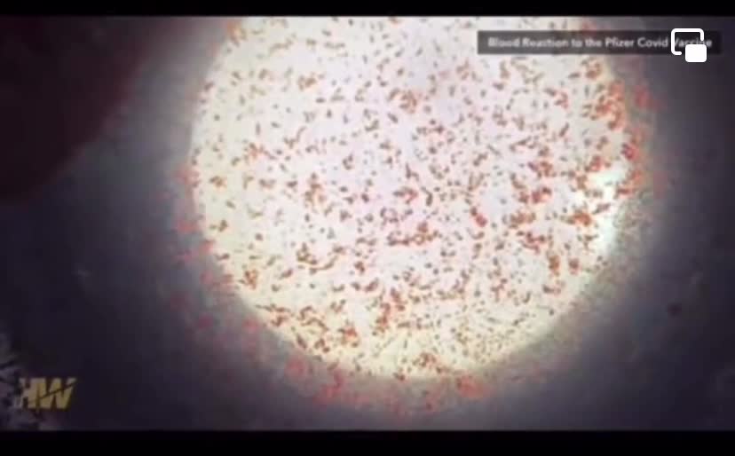Blood vs vax