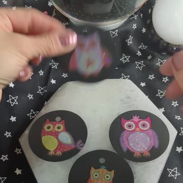 Owl Mail... What Will You Receive? #shorts