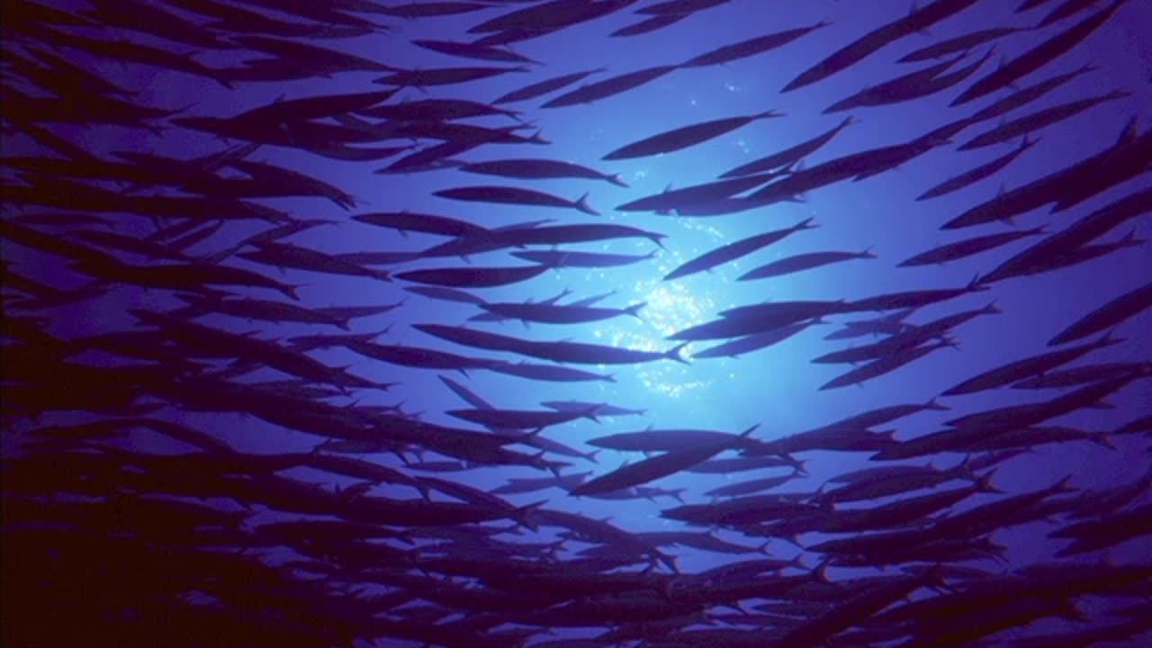 Vangelis - Metallic Rain - Direct