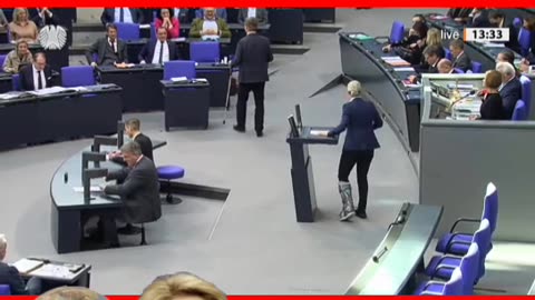 Frau Dr. Alice Weidel spricht im Bundestag.