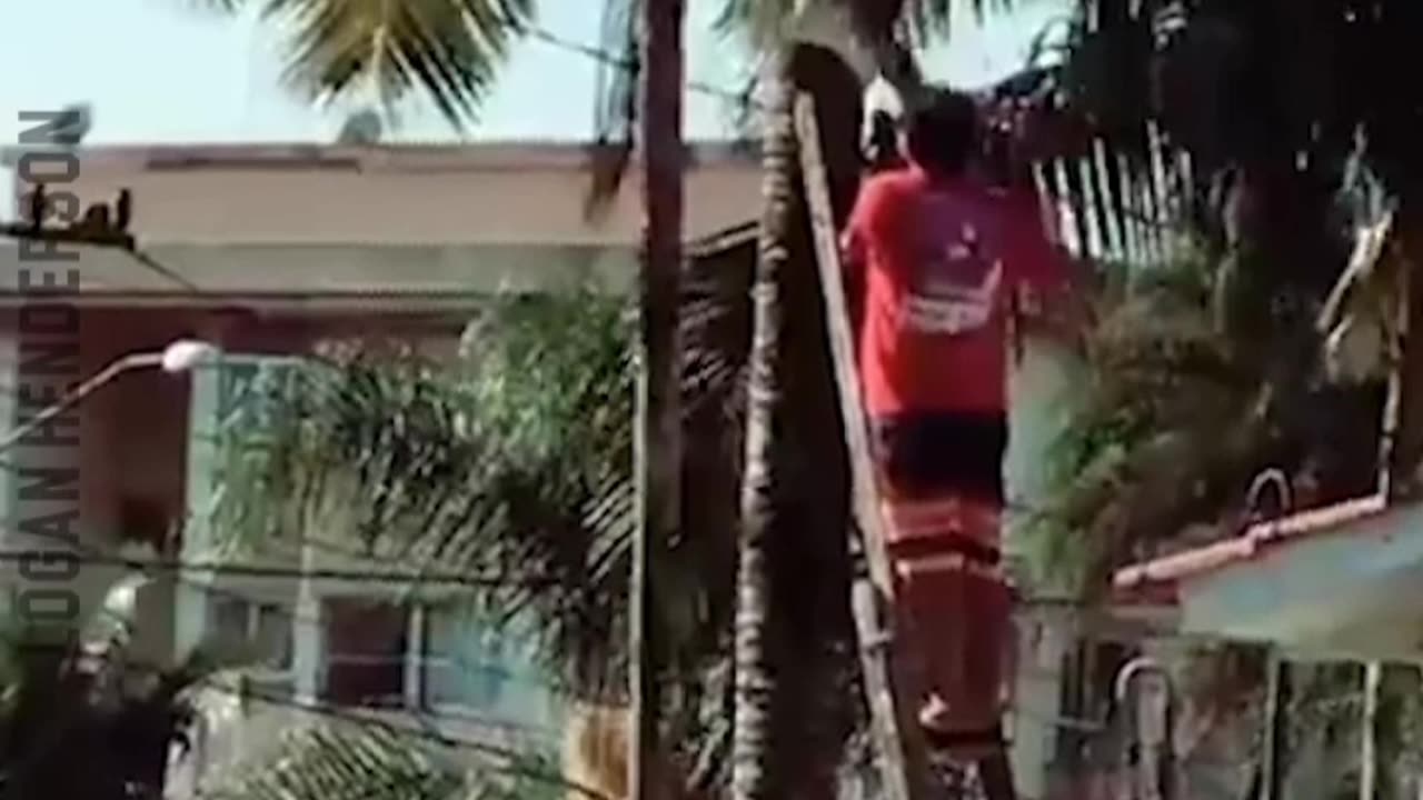 most funny failure