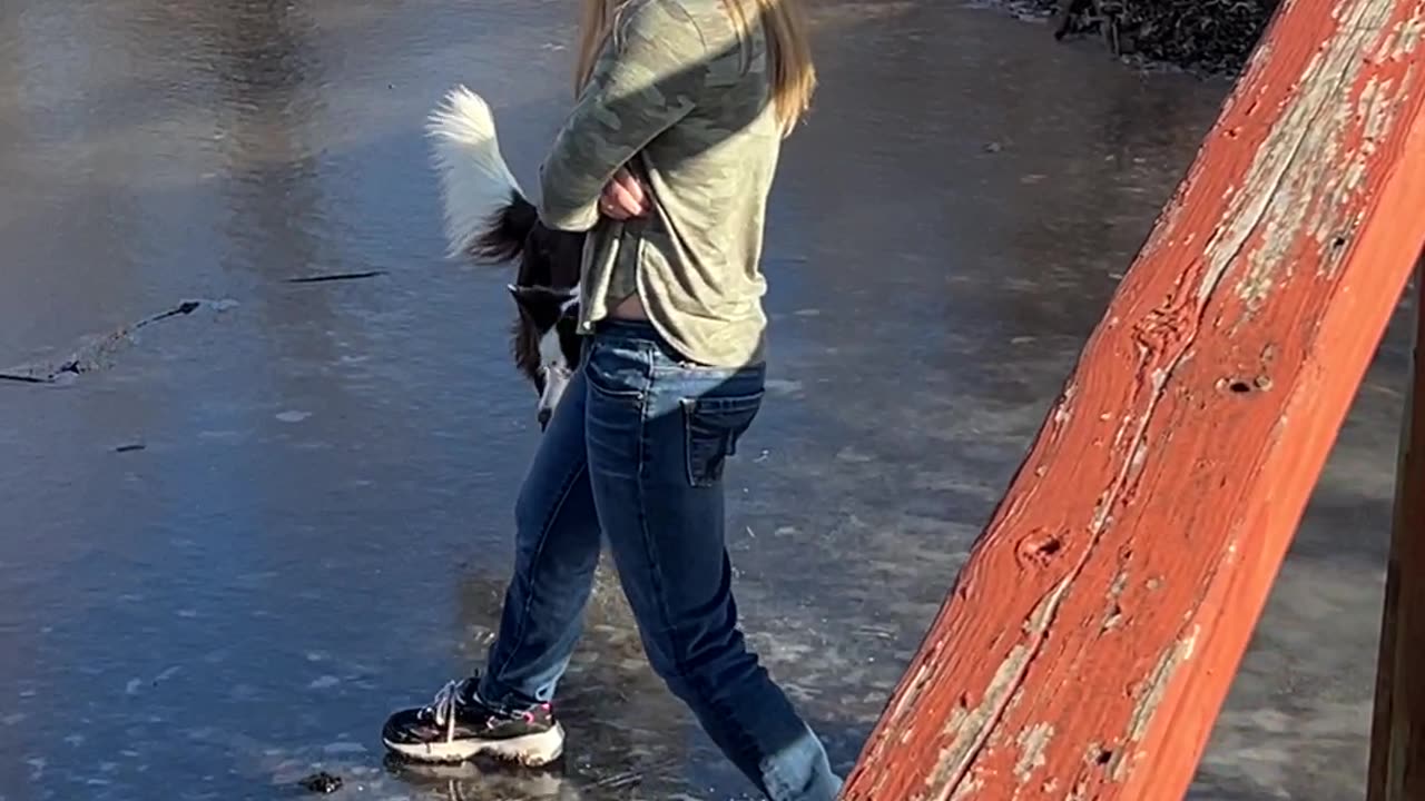 Jumping Border Collie Wipes Out on Frozen Pond