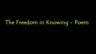 What makes you feel free?