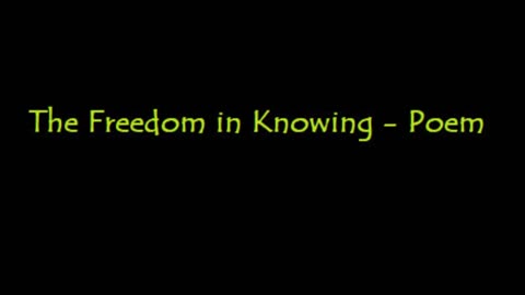 What makes you feel free?