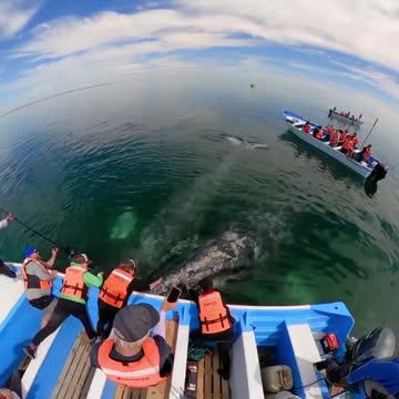 My trip my adventure...