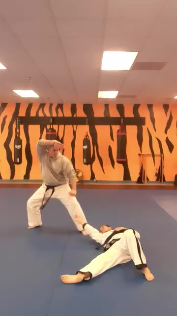 Tong Hap Kwan Hoshinsul