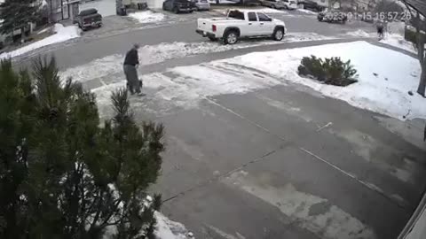 If you've never drag raced a moose, have you really lived?