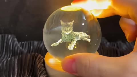 SHE PUT HER CAT IN A CRYSTAL BALL!!!!