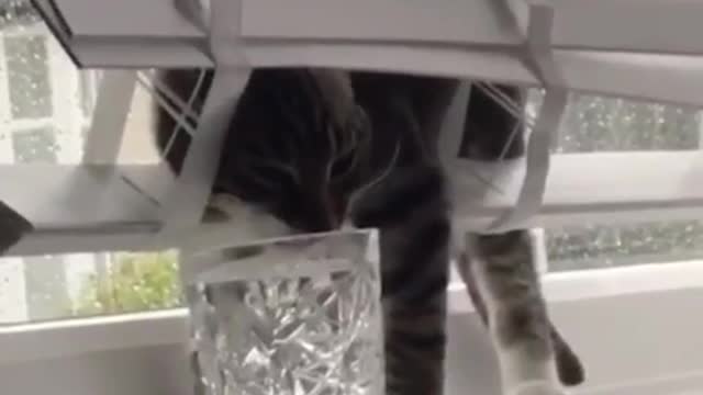 Funny way to drink water