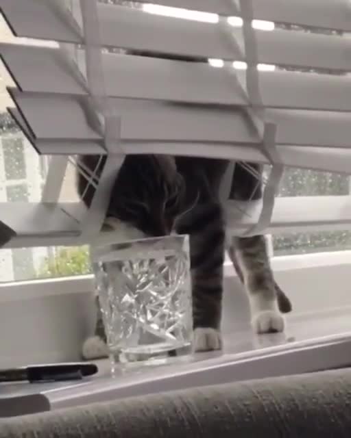 Funny way to drink water