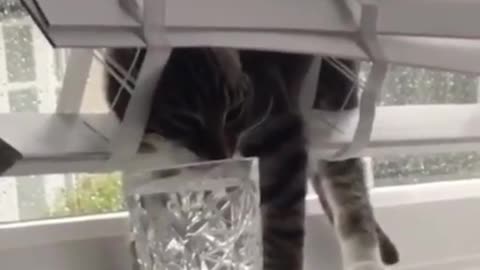Funny way to drink water