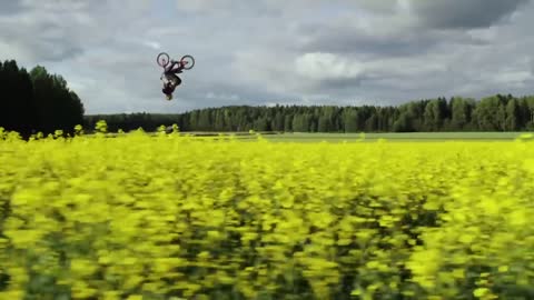 a Freestyle Daydream w. Martin Söderström & Dawid Godziek