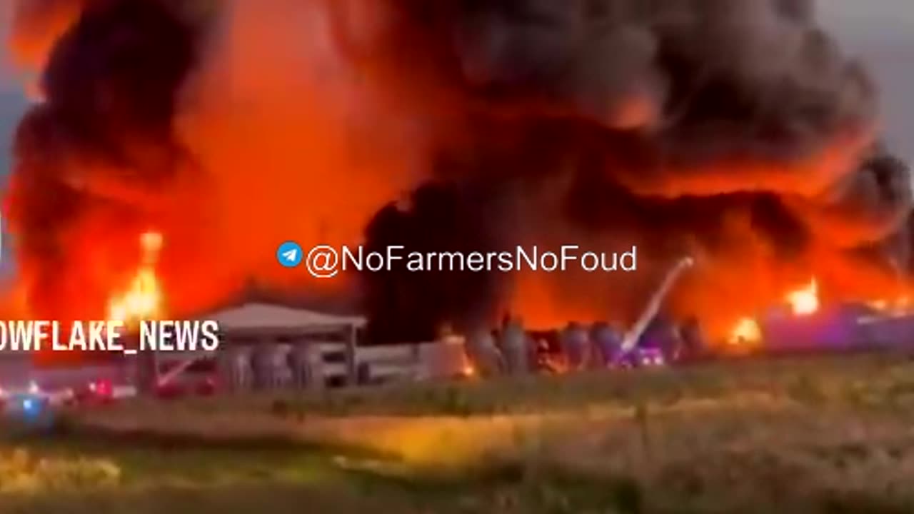 Millions of Chickens Killed in 5-Alarm Fire at Farina Farms Inc. in Illinois.