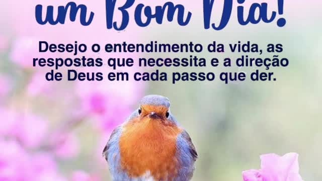 Eu te desejo um bom dia