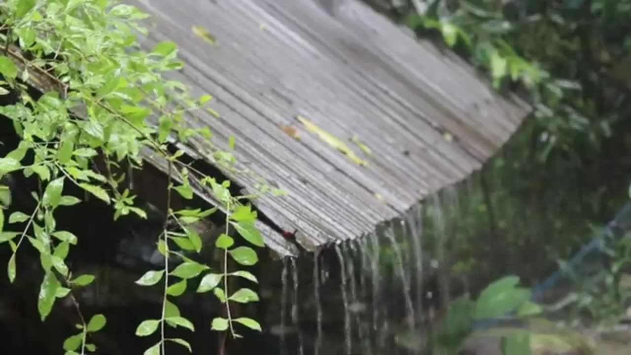 Sleep Peacefully and Relaxed with Heavy Rain Hitting the Roof: A Calming Ambient Experience