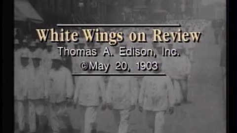 White Wings on review