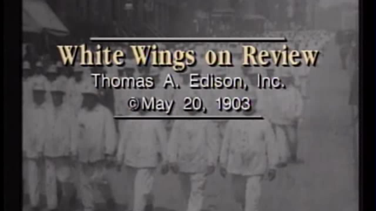 White Wings on review