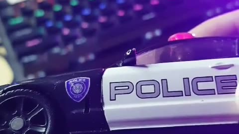 Bad cop toys?