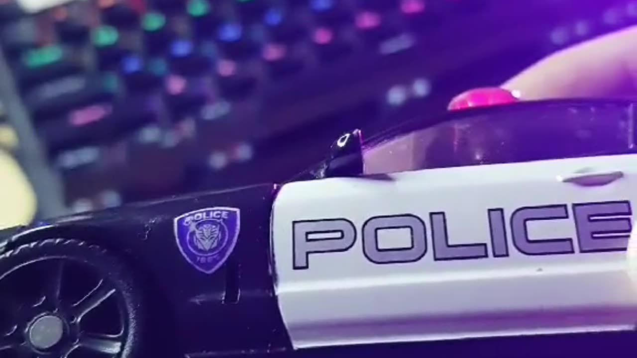 Bad cop toys?