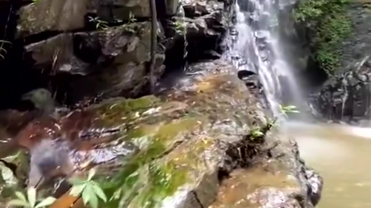 He Was Messing Up The Shot Anyways