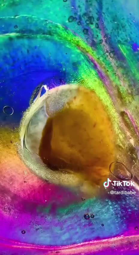 What figs look like under the Microscope.