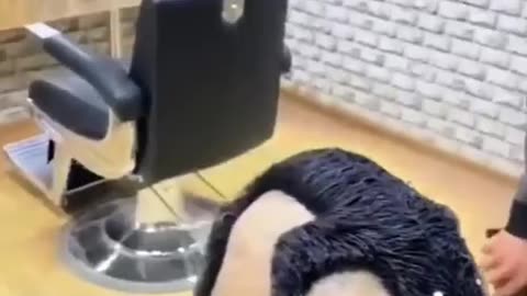 Going to the hairdresser in 2024