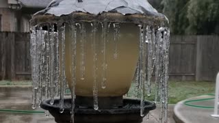 Bird Feeder Under Ice