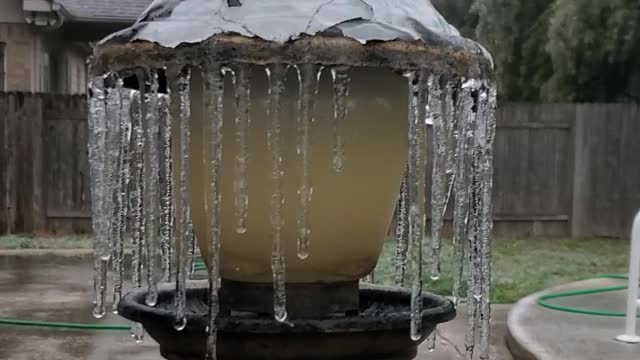 Bird Feeder Under Ice