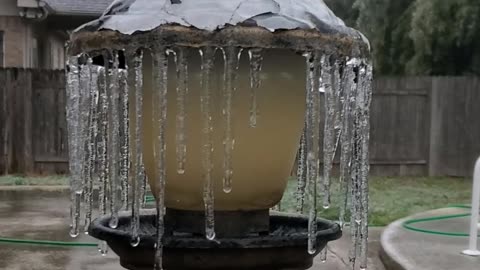 Bird Feeder Under Ice