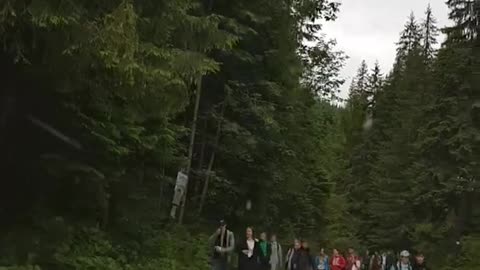 Карпаты.