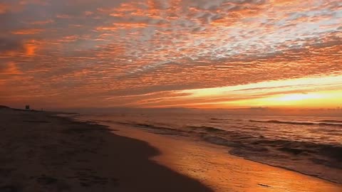 Background Video Nature Sunset Beach