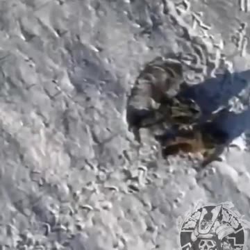 Aftermath of a Firefight Near Bakhmut