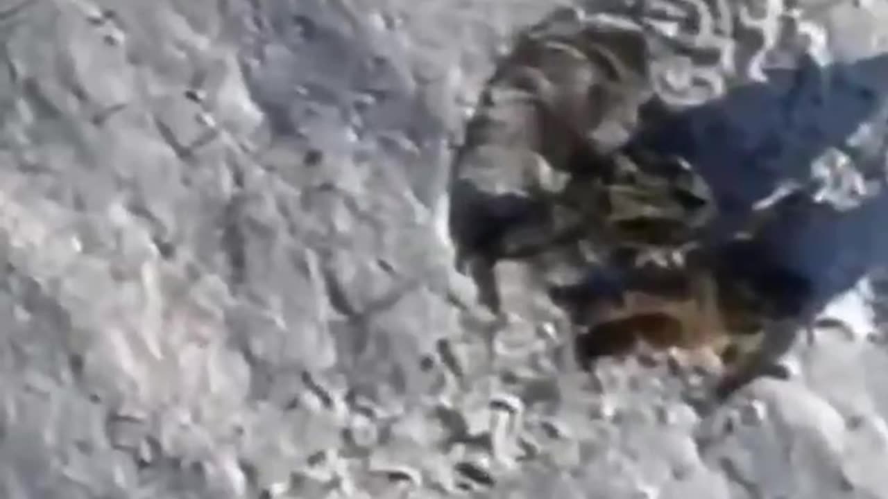 Aftermath of a Firefight Near Bakhmut