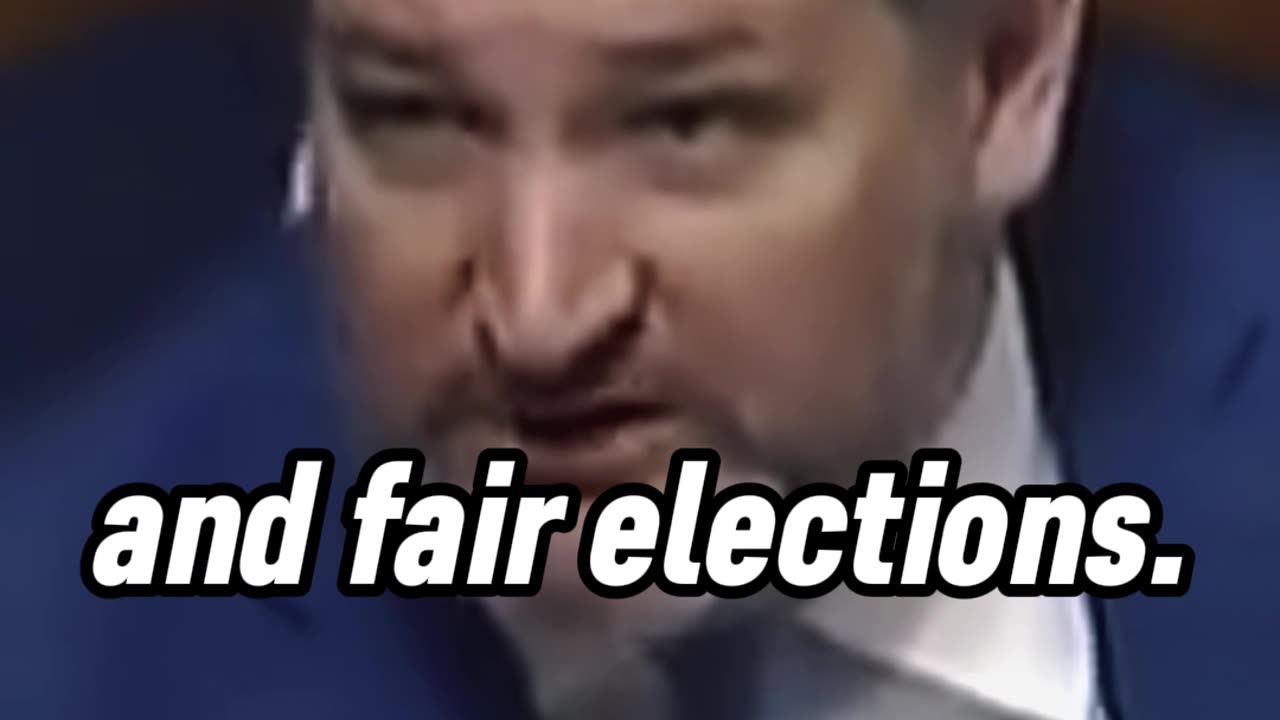 Senator Ted Cruz DESTROYS A Woke Woman On Voter ID Laws