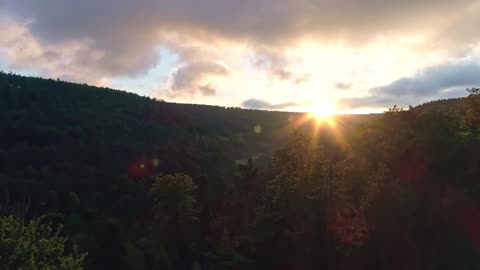 Sunrise Over Forest - Drone Footage - Free Stock Footage - Ultra