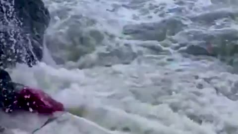 Epic Fails Caught on Camera