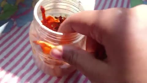 DIY ORANGE PEEL POWDER EASY 🍊🍊