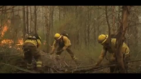 At least 23 people killed, Chile expands emergency as deaths from wildfires rise