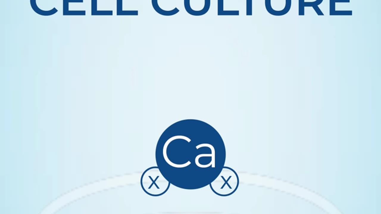 Are you observing cloudiness in your cell culture? #primarycells #cellculture #research