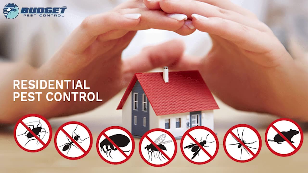 Winter Pest Rodent Critter Control Professional Exterminators Budget Pest Control Pittsburgh PA