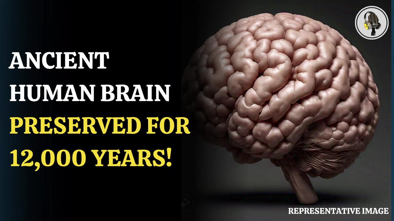 12,000-Year-Old Human Brains Defy Decomposition. | WION Podcast