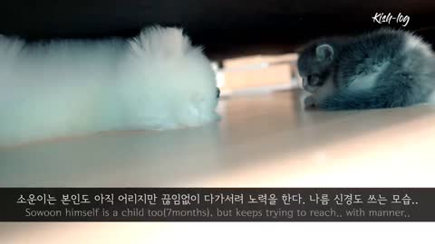 Raising like a Munchkin #- from day one of the joint to getting friendly --- 14