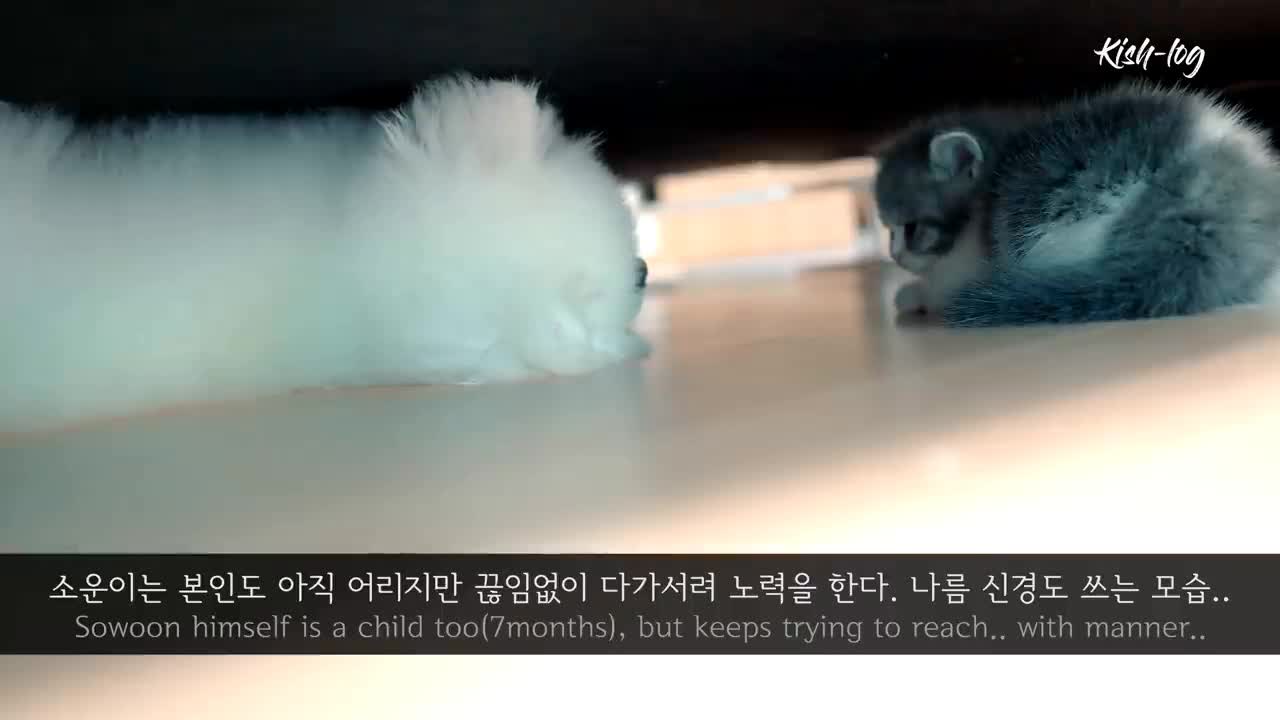 Raising like a Munchkin #- from day one of the joint to getting friendly --- 14