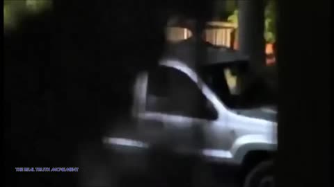 Woman Stops Cop From Shooting Her Dog And Gets Arrested for It