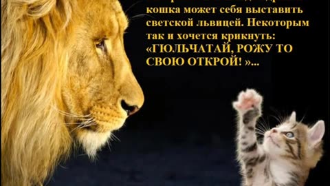 МОИ АФОРИЗМЫ И РАЗМЫШЛЕНИЯ. ЧАСТЬ 2. ВЕДЬМИНА ИЗБА ▶️ ИНГА ХОСРОЕВА