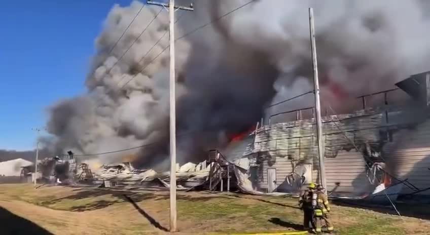 CONNECTICUT: one of the largest chicken egg suppliers "caught" fire -estimated 100,000 hens dead.