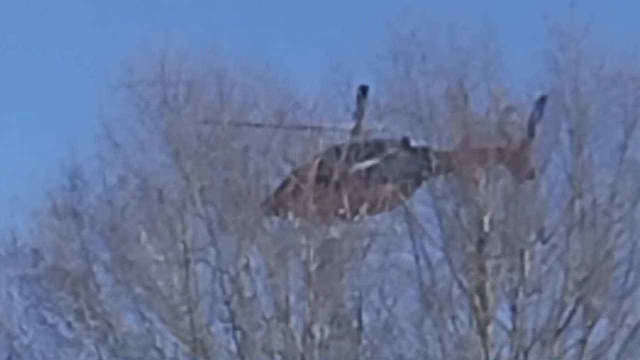 LOW FLYING HELICOPTER TREE TOP LEVEL